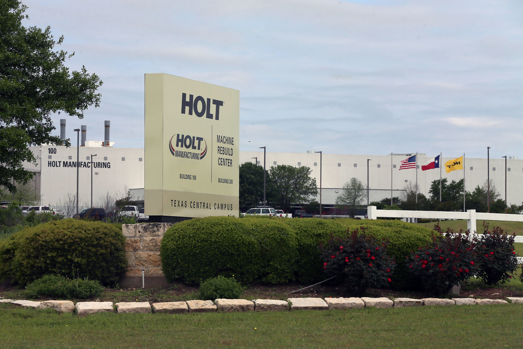 Holt Cat